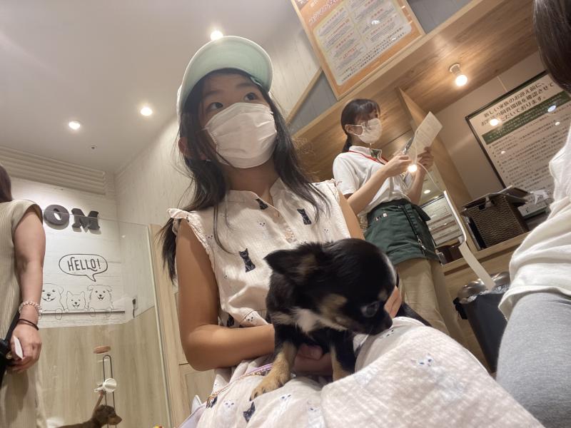 写真