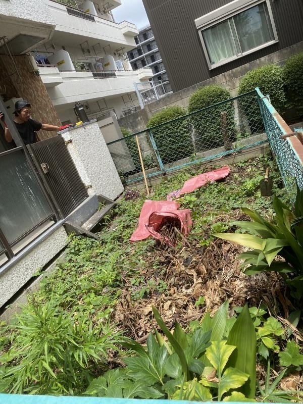 写真